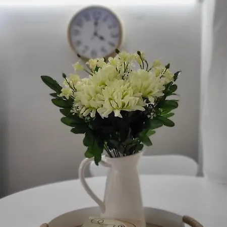 Apartment Traveller's Spot Cozy